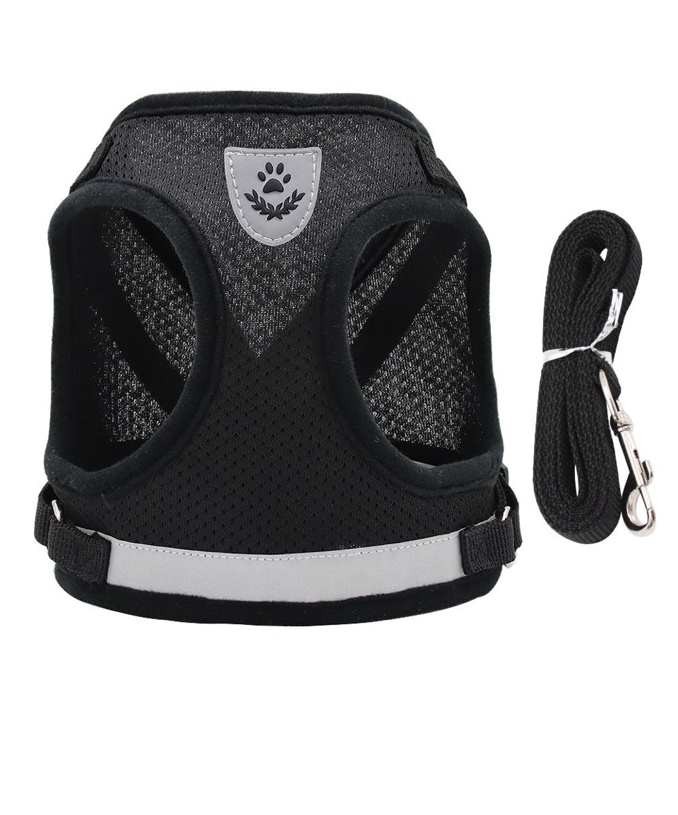 SET DE ARNÉS Y CORREA PARA MASCOTAS