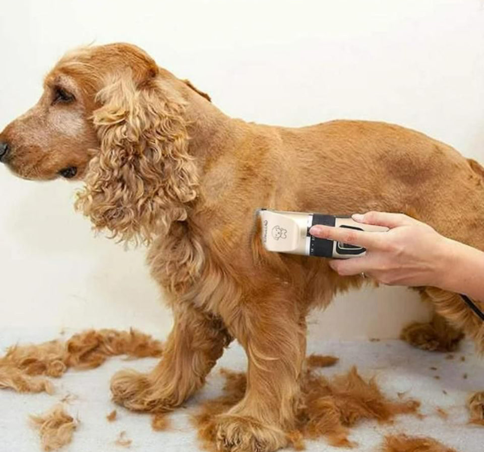 MAQUINA CORTA PELO PARA MASCOTAS