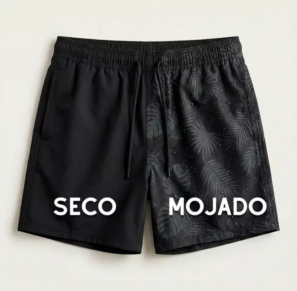 COMBO CAMALEÓN 3x1 + LENTE DE REGALO